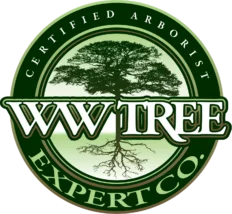 WW Tree Expert